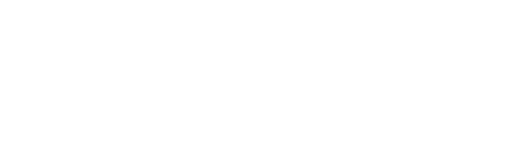 Logo Salmar